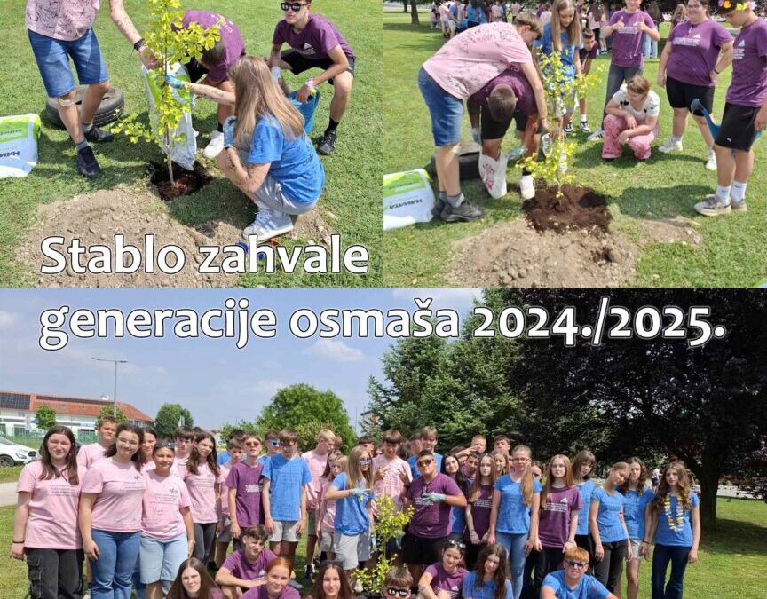 Stablo zahvale generacije osmaša 2024./2025.