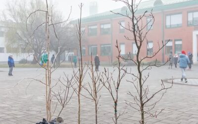 Školsko dvorište oplemenjeno je novim sadnicama!