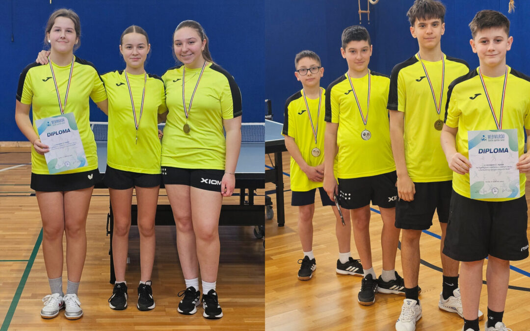 Uspješni stolnotenisači na županijskom natjecnaju